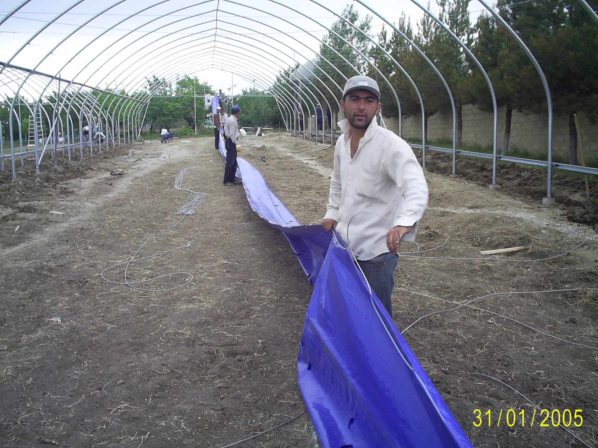 Greenhouse Azerbaijan