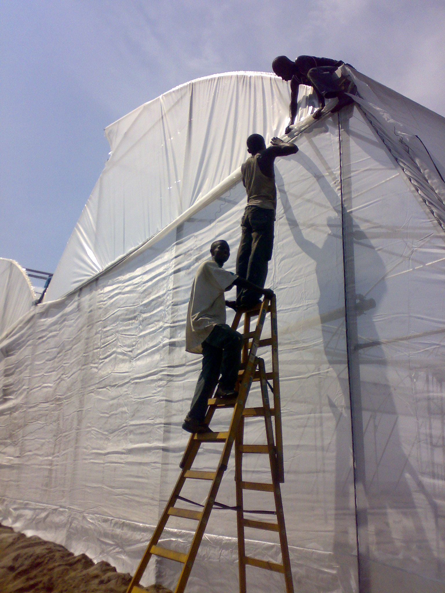 Greenhouse Congo