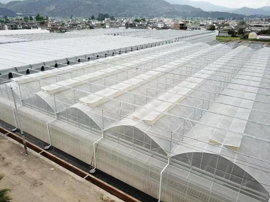 Greenhouse covering